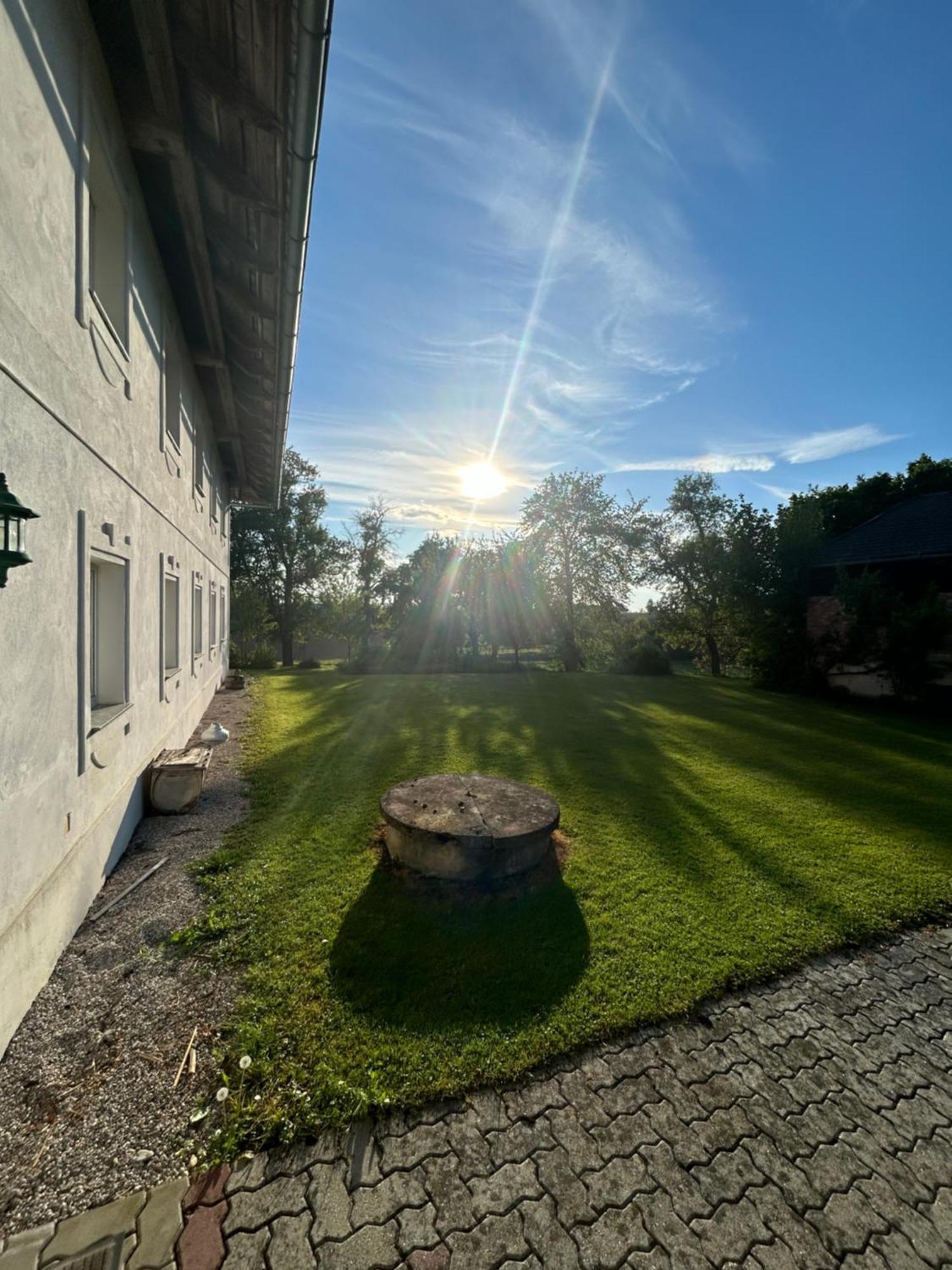 Babsi Appartments - Leben Am Land Wels Exterior photo